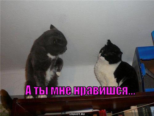1 6 ТЫ 1 6 ты: