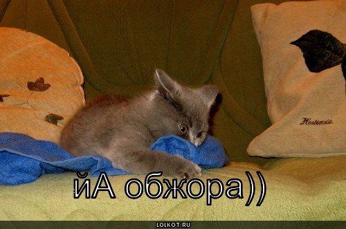 Нелли стрекаловская телеведущая прогноз погоды
