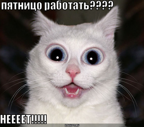 rabota-po-pyatnitsam_1276014635.jpg