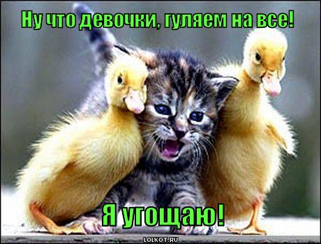 http://lolkot.ru/wp-content/uploads/2010/07/gulyayem-na-vse_1279857558.jpg