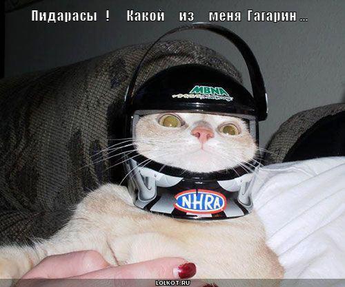 gagarin_1284521599.jpg
