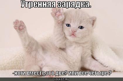 http://lolkot.ru/wp-content/uploads/2010/09/utrennyaya-zaryadka_1283520507.jpg