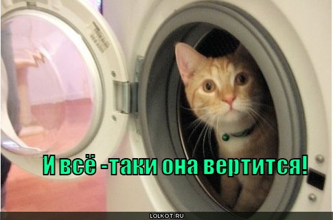 http://lolkot.ru/wp-content/uploads/2010/11/ona-vertitsya_1289362384.jpg