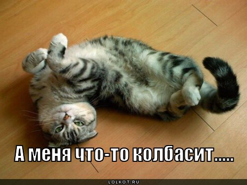 Конкурс приколов на новый год Конкурс приколов на новый год