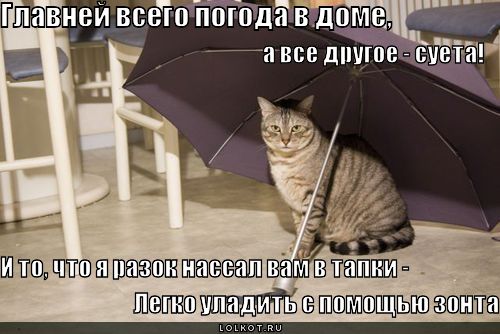 Главней всего погода в доме, а все другое - суета! И то, что я разок нассал вам в тапки, легко уладить с помощью зонта.