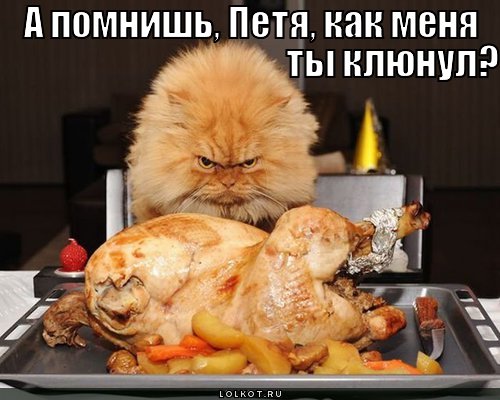 http://lolkot.ru/wp-content/uploads/2011/02/ty-klyunul_1297867741.jpg