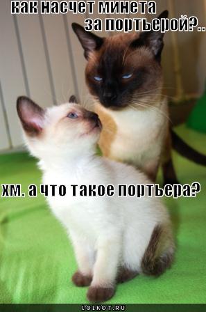 сука блять проститутка сука блять проститутка