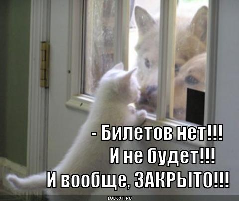 http://lolkot.ru/wp-content/uploads/2011/06/biletov-net_1308211352.jpg