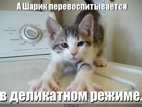 lolkot.ru/wp-content/uploads/2011/06/sharik-perevospityvayetsya_1308560507.jpg