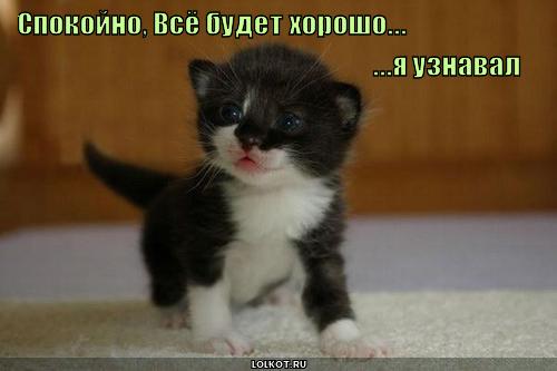 http://lolkot.ru/wp-content/uploads/2011/06/vsyo-budet-horosho_1307375876.jpg
