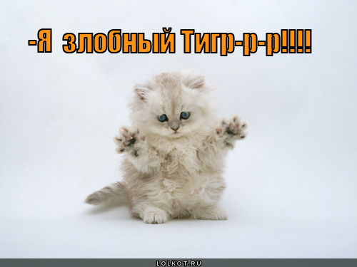 zlobnyy-tigr_1317050857.jpg