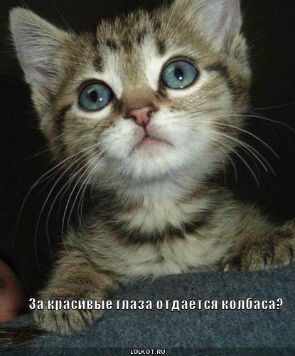 Анекдот про инструктор Анекдот про инструктор