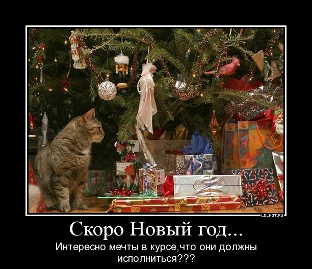 http://lolkot.ru/wp-content/uploads/2011/12/mechty-v-kurse_1324359700.jpg