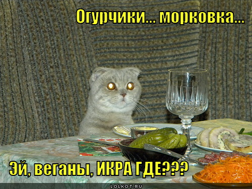 ikra-gde_1326257352.jpg