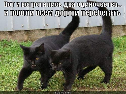 http://lolkot.ru/wp-content/uploads/2012/02/dva-odinochestva_1329833653.jpg