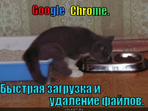 http://lolkot.ru/wp-content/uploads/2012/03/google-chrome_1332927573.jpg