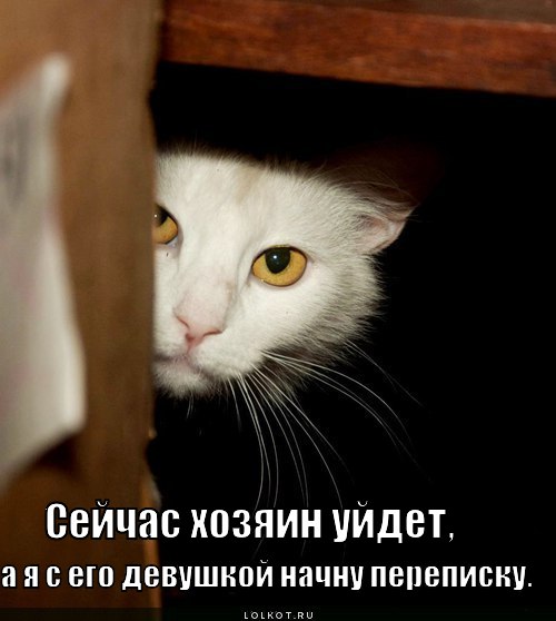 Фотки подарков с дня рождения Фотки подарков с дня рождения