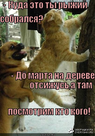 Раздвижные ворота своими руками: пошаговая инструкция по сборке Красивый торт - 283 рецепта приготовления пошагово - nu