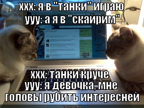 http://lolkot.ru/wp-content/uploads/2012/07/skayrim_1343710337.jpg