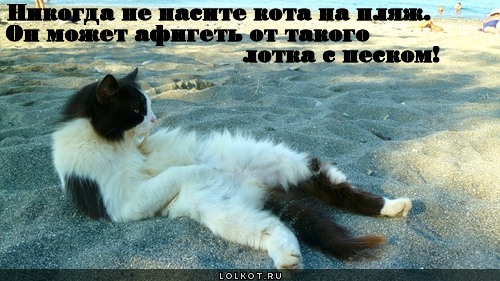 Анекдот про монолог Анекдот про монолог