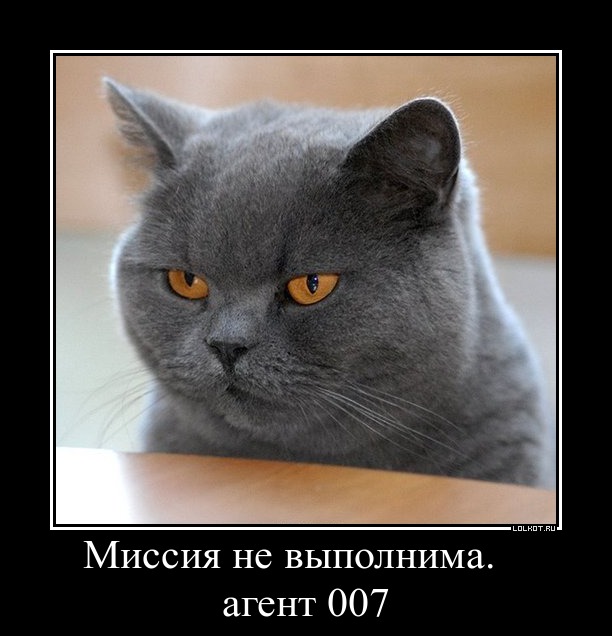 http://lolkot.ru/wp-content/uploads/2012/11/agent-007_1353173927.jpg