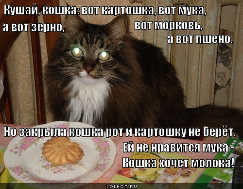 Кушай кошка вот картошка стих Кушай кошка вот картошка стих