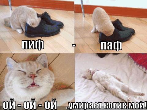 Пиф что это