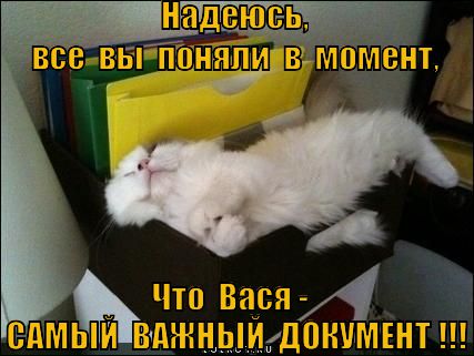 Смешные картинки - Страница 3 Vazhnyak_1366979830
