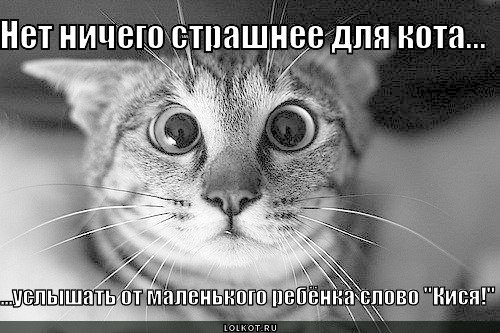 С днём рождения фотки ребёнка С днём рождения фотки ребёнка