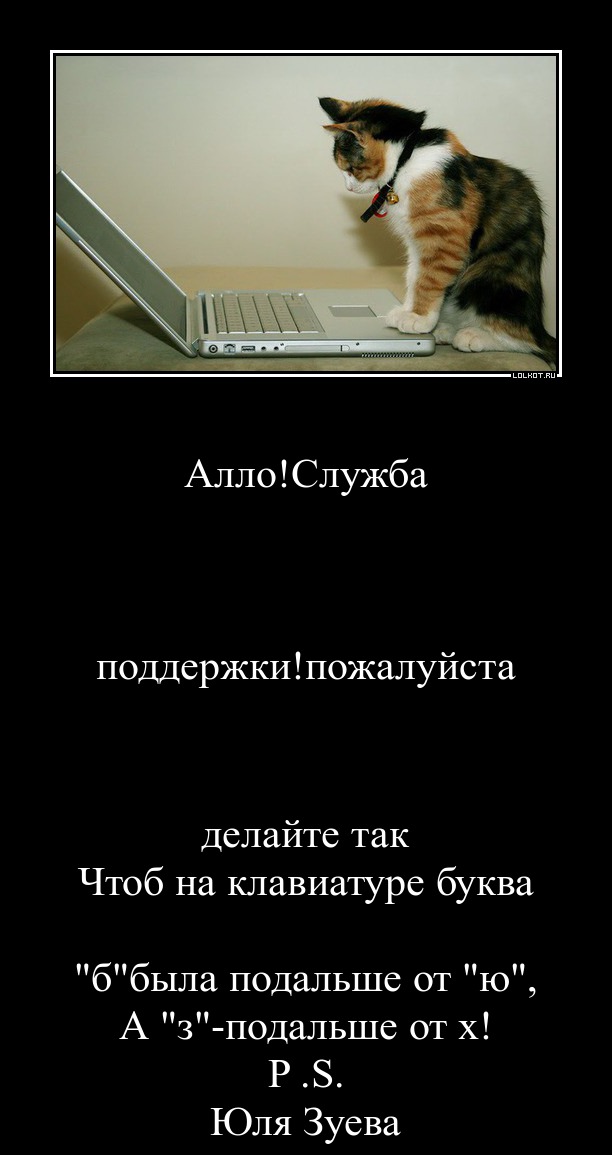 http://lolkot.ru/wp-content/uploads/2013/08/allo_1376306206.jpg