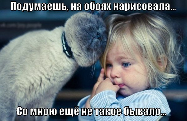http://lolkot.ru/wp-content/uploads/2013/08/i-ne-takoye-byvalo_1376738314.jpg