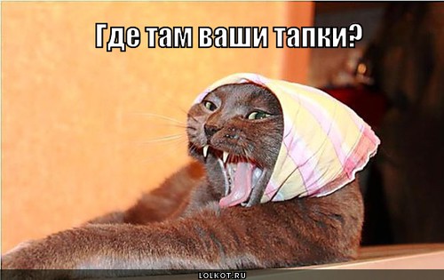 где там ваши тапки? где там ваши тапки?