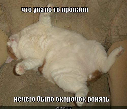 chto-upalo-to-propalo_1401901390.jpg