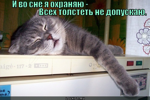 http://lolkot.ru/wp-content/uploads/2014/11/ohrana_1417100141.jpg