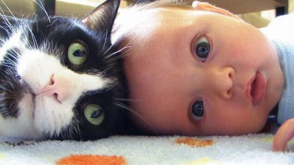 Кот и малыш лежет голова к голове.