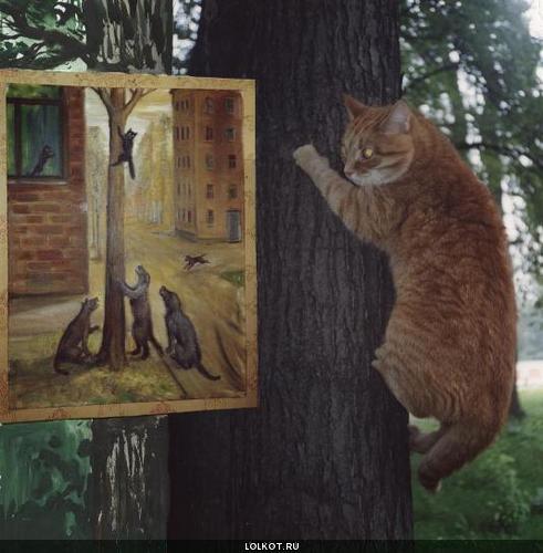 кот на дереве смотрит картину