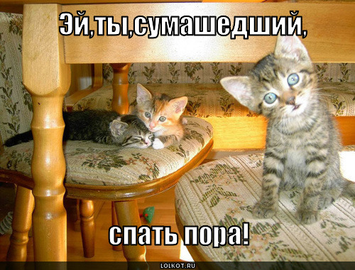 http://lolkot.ru/wp-content/uploads/2010/06/spat-pora_1276279247.jpg