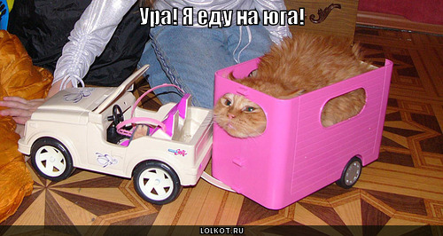 http://lolkot.ru/wp-content/uploads/2010/07/yedu-na-yuga_1280504682.jpg