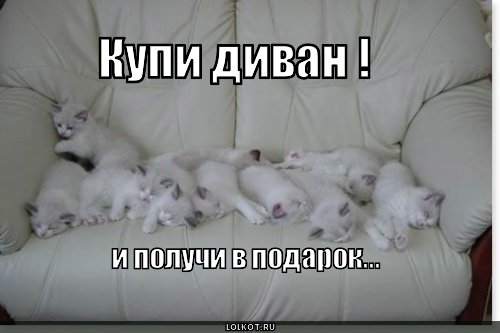 Диван с контрабандными сигаретами выявлен на границе с Венгрией, - Госпогранслужба - Цензор.НЕТ 825