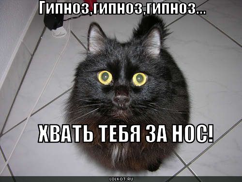 Новорожденной, гипноз смешные картинки