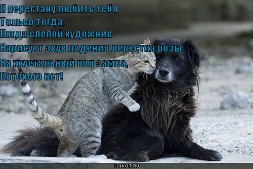 перестану любить
