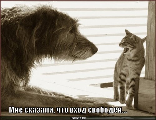 http://lolkot.ru/wp-content/uploads/2011/02/vhod-svoboden_1297351568.jpg