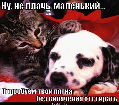 http://lolkot.ru/wp-content/uploads/2011/03/poprobuyem-otstirat_1301457365.jpg