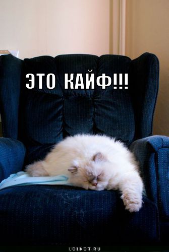 Фото с надписью кайфую, нарисовать открытку