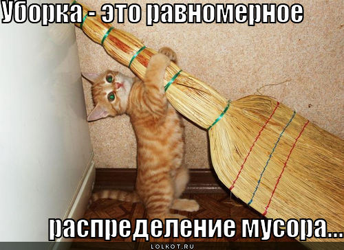 http://lolkot.ru/wp-content/uploads/2011/05/uborka_1305088589.jpg