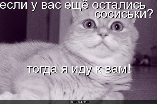 не орать на меня. плакат не орать. не ори на меня. ничего не кричи. плакат не кричи.
