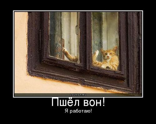я работаю картинка онлайн я работаю картинка