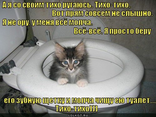 Вообще слышно. Тихо чищу унитаз его зубной щеткой. Почистила унитаз его зубной щеткой. Чищу унитаз его зубной. Прикол чистит туалет зубной щеткой.