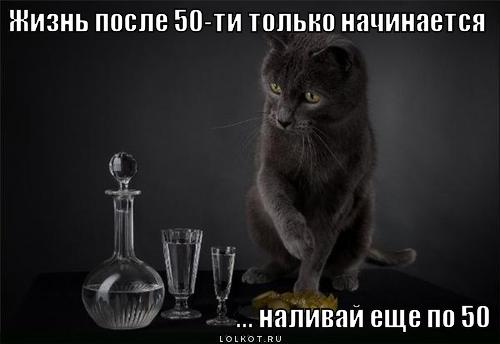 http://lolkot.ru/wp-content/uploads/2011/12/zhizn-posle-50-ti_1323351742.jpg
