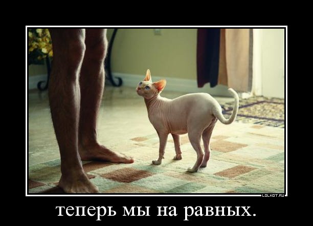 Мандафля